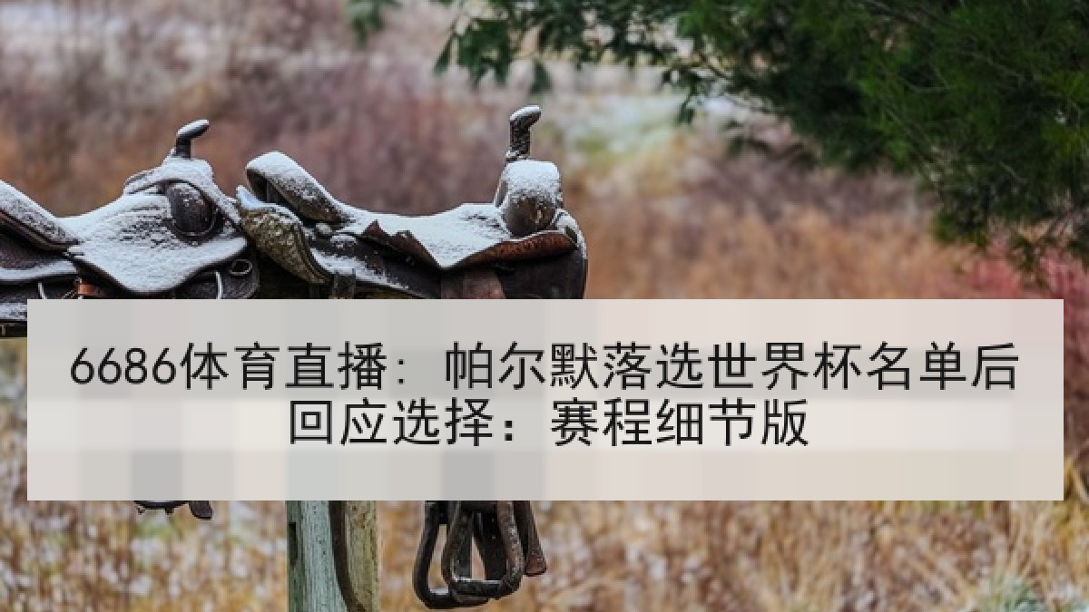 6686体育直播: 帕尔默落选世界杯名单后回应选择：赛程细节版