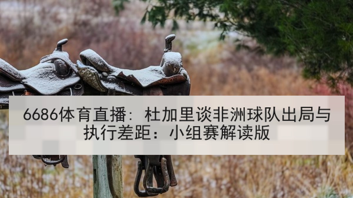 6686体育直播: 杜加里谈非洲球队出局与执行差距:小组赛解读版