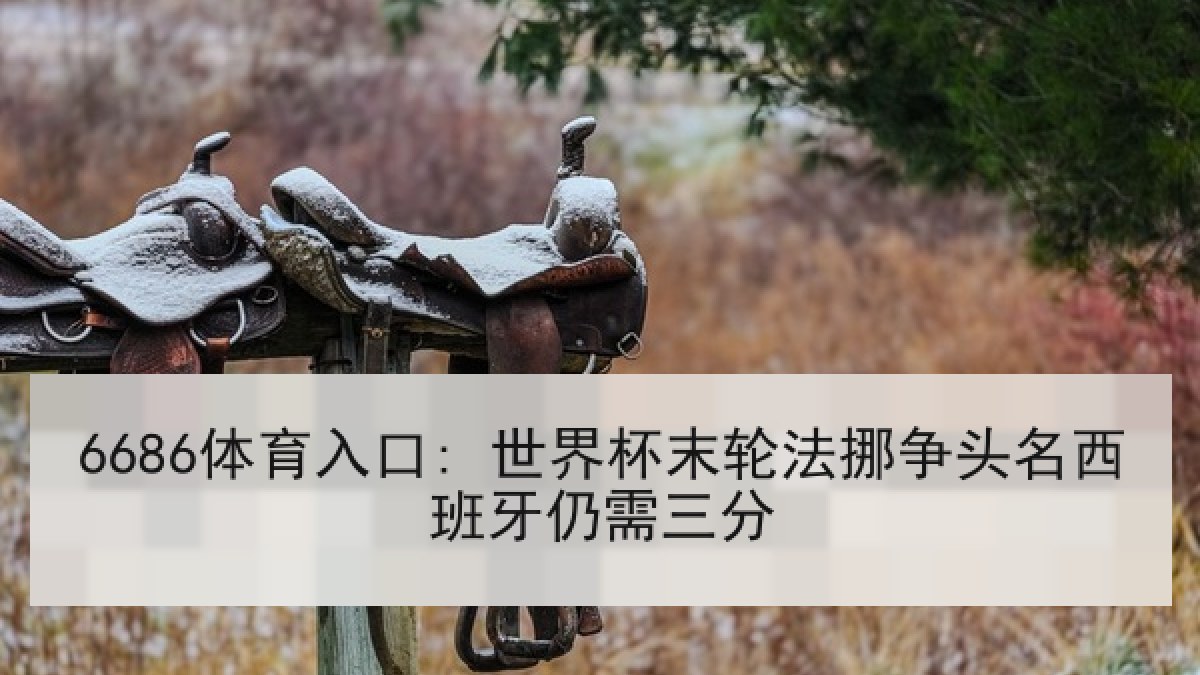 6686体育入口: 世界杯末轮法挪争头名西班牙仍需三分