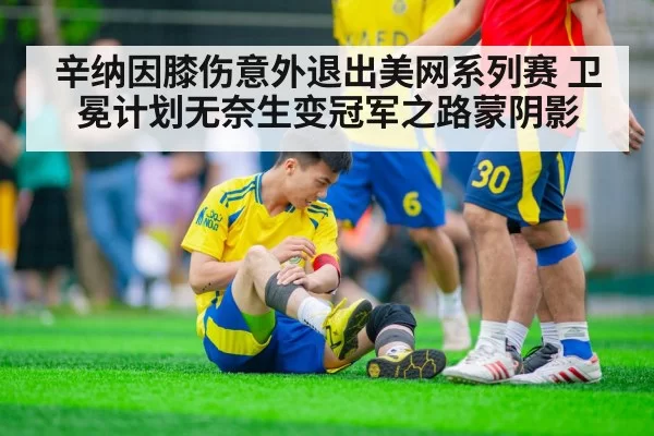 辛纳因膝伤意外退出美网系列赛 卫冕计划无奈生变冠军之路蒙阴影